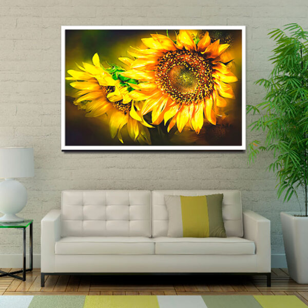 girasol-blanco-01