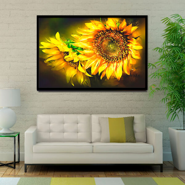 girasol-negro-01