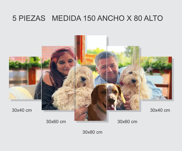Cuadro dividido Set 5 Piezas - Imagen 2