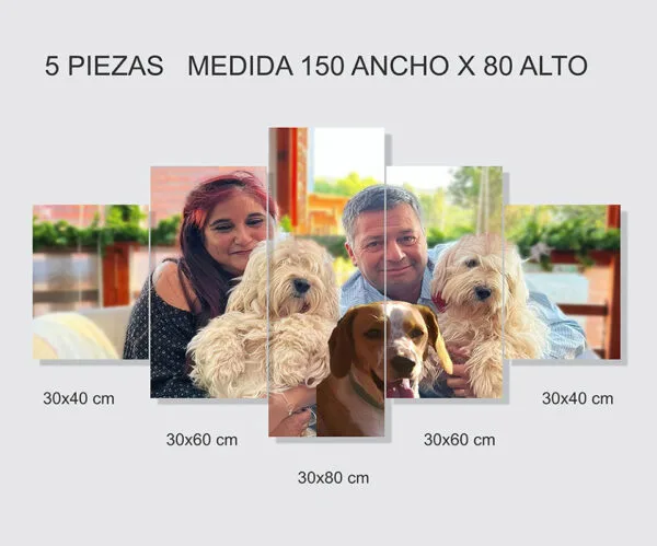 Cuadro dividido Set 5 Piezas - Imagen 2